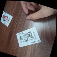 Dataset Image