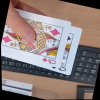 Dataset Image