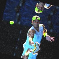 Dataset Image