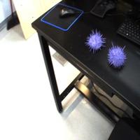 Dataset Image