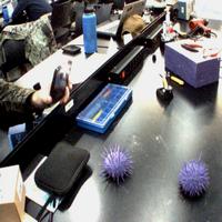 Dataset Image