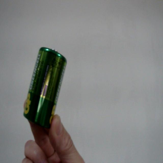 Dataset Image