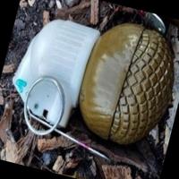 Dataset Image