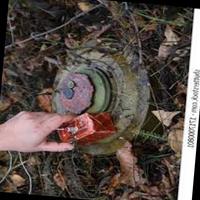 Dataset Image
