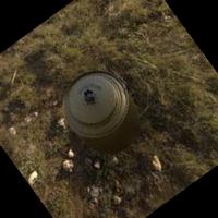 Dataset Image