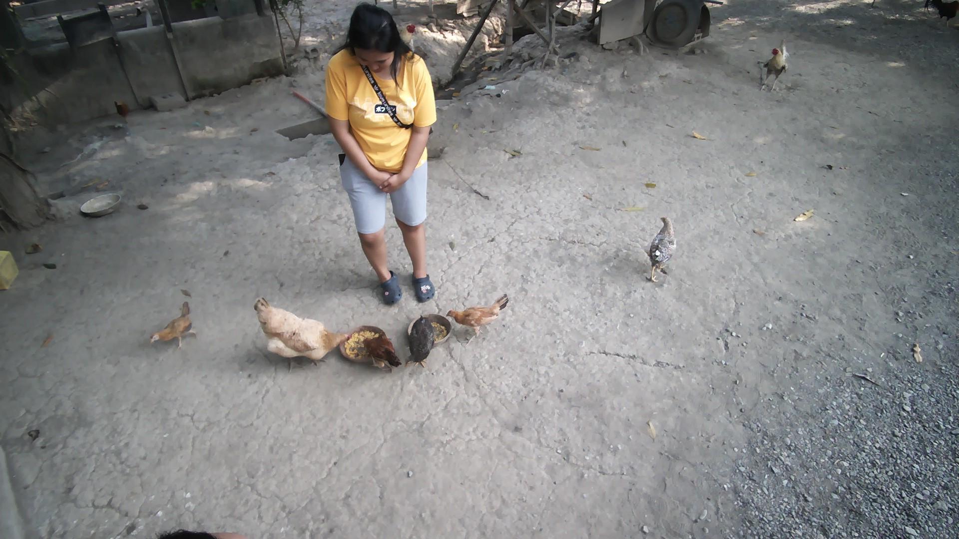 Dataset Image