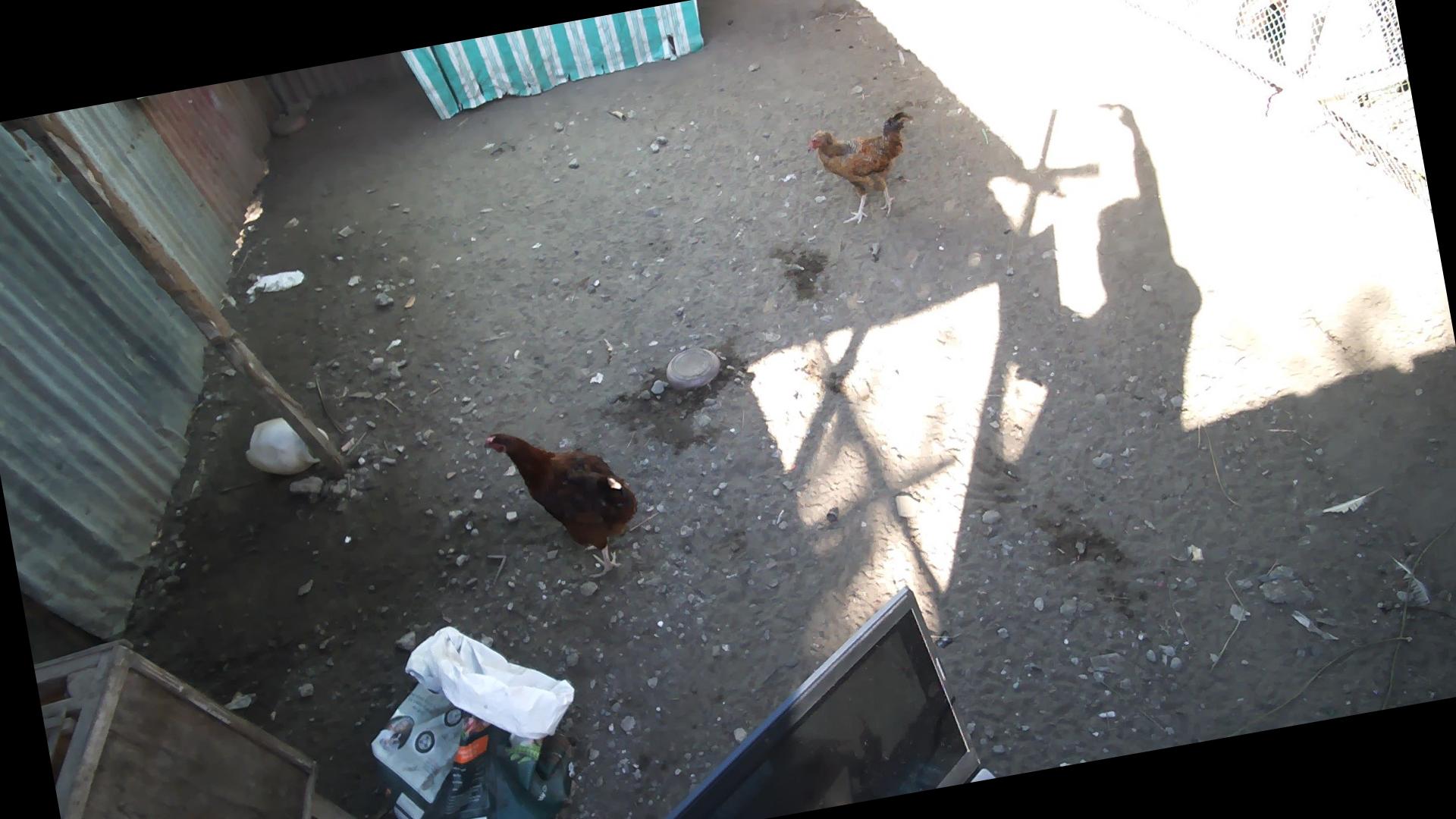 Dataset Image