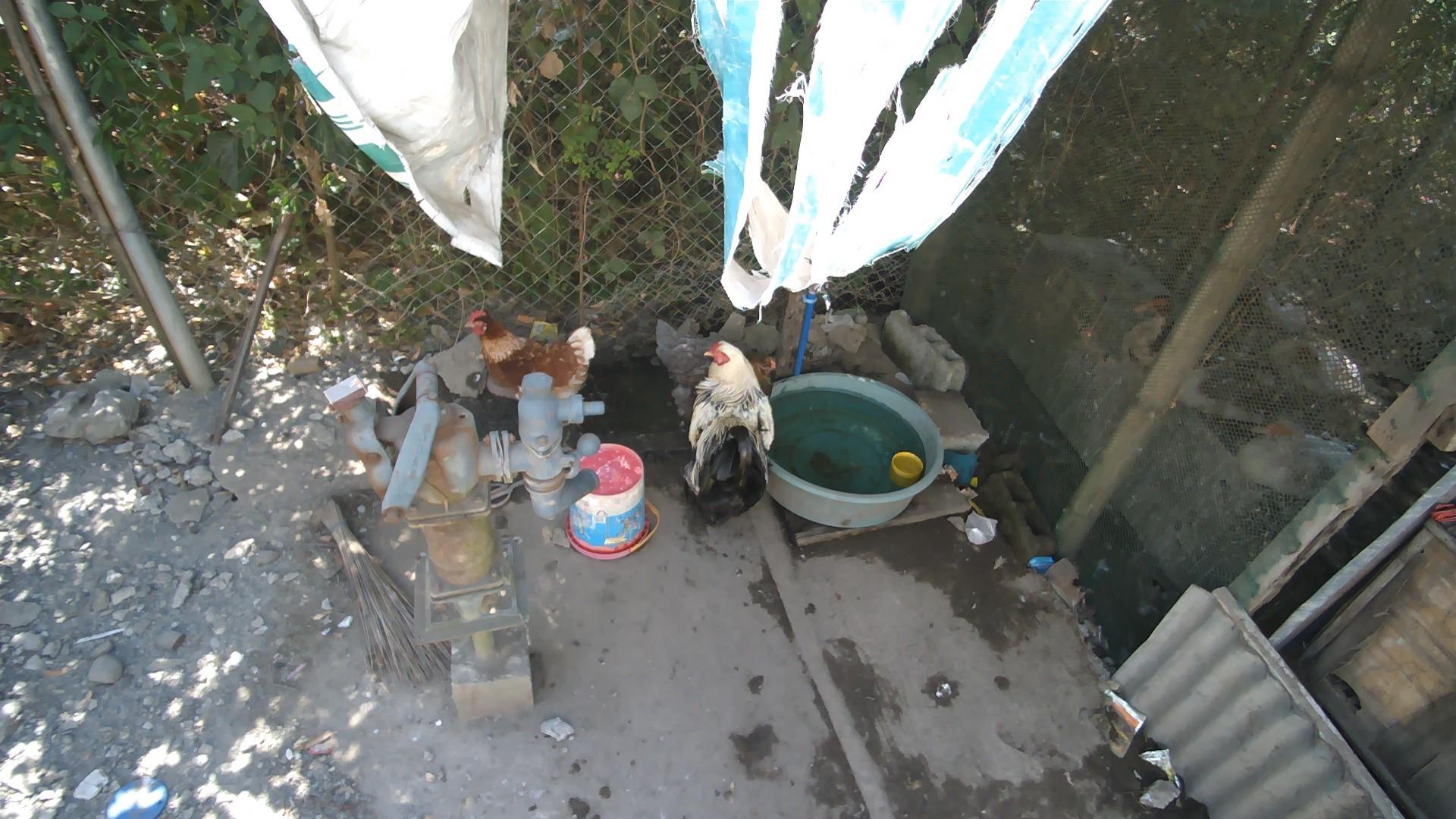 Dataset Image