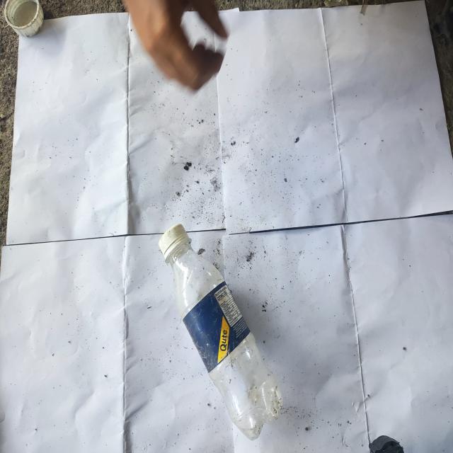 Dataset Image
