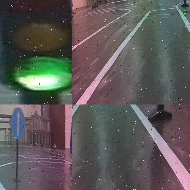 Dataset Image