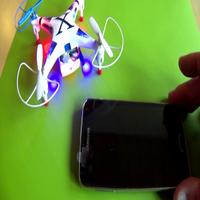 Dataset Image
