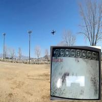 Dataset Image