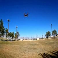 Dataset Image