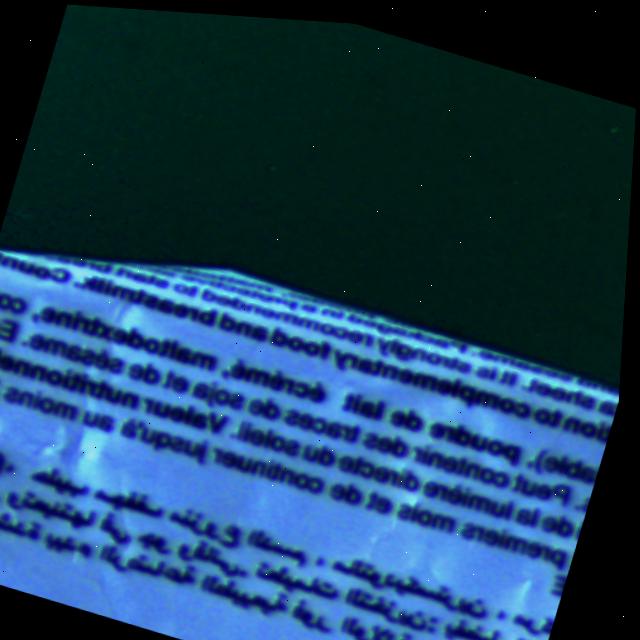 Dataset Image