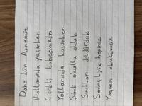 Dataset Image