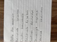 Dataset Image