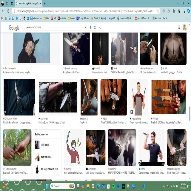 Dataset Image