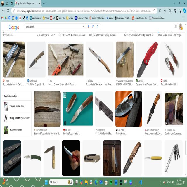 Dataset Image
