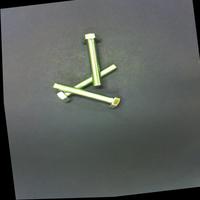 Dataset Image