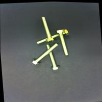Dataset Image