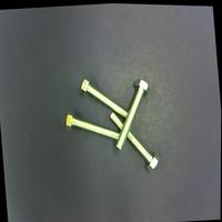 Dataset Image
