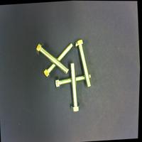 Dataset Image