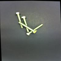 Dataset Image