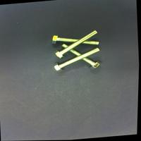 Dataset Image