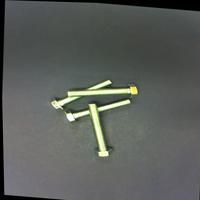 Dataset Image