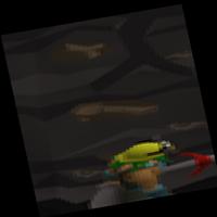 Dataset Image