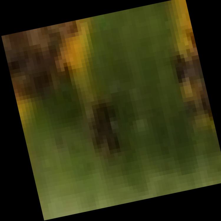 Dataset Image