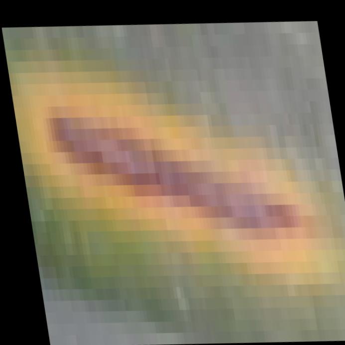 Dataset Image