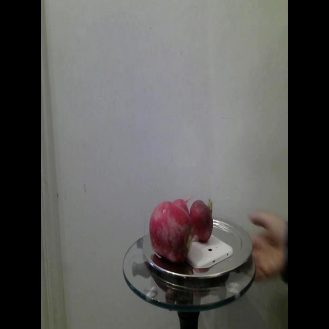 Dataset Image