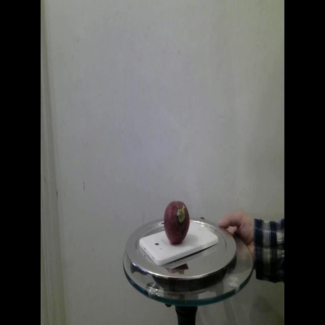 Dataset Image
