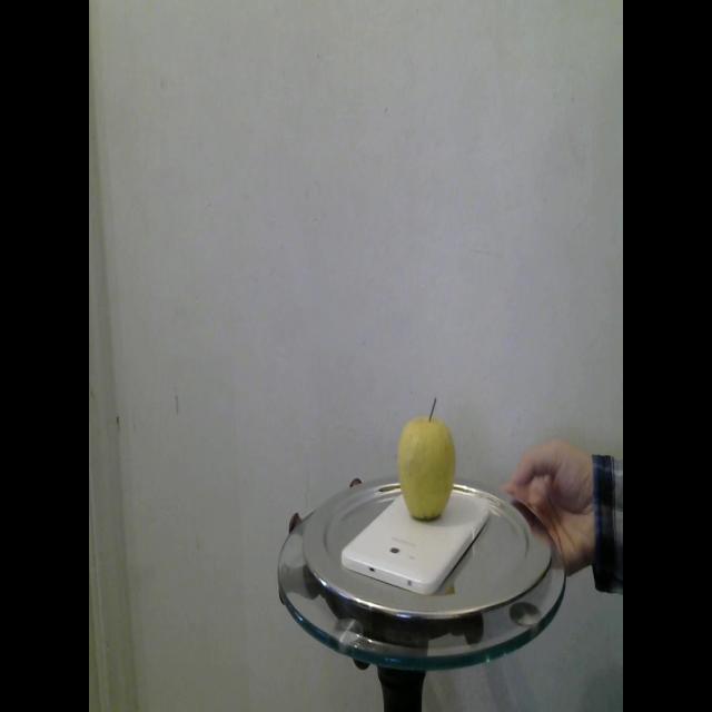 Dataset Image
