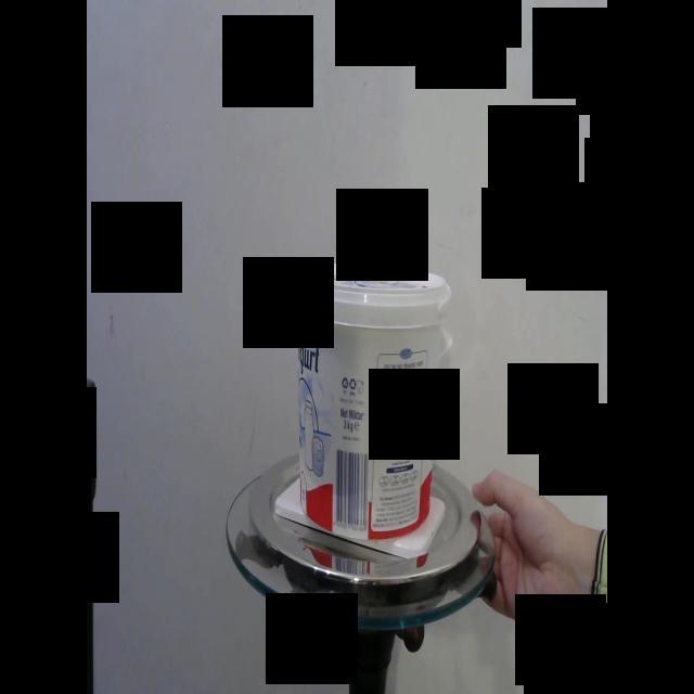 Dataset Image