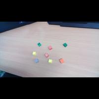 Dataset Image