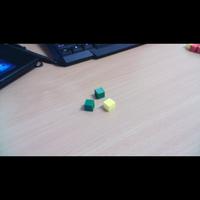 Dataset Image