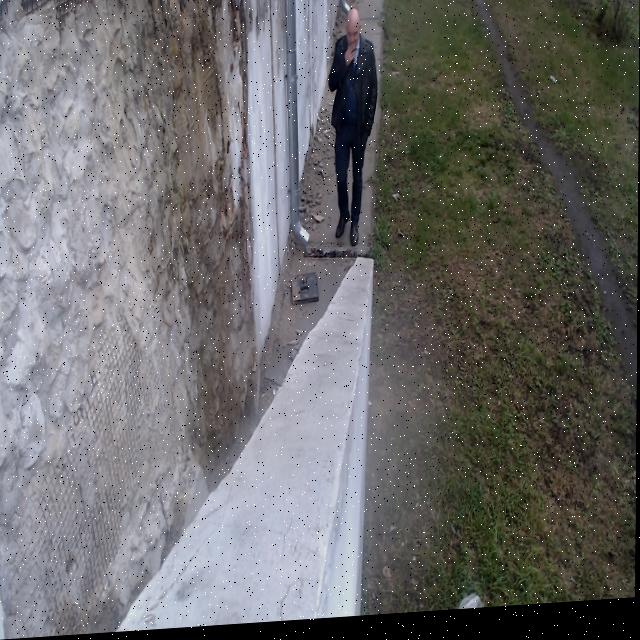 Dataset Image