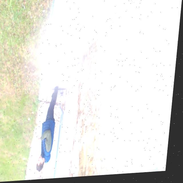 Dataset Image