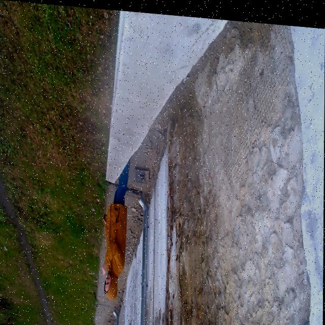 Dataset Image