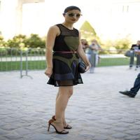 Dataset Image