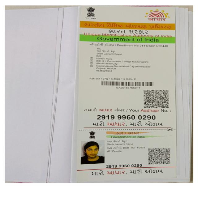 Dataset Image