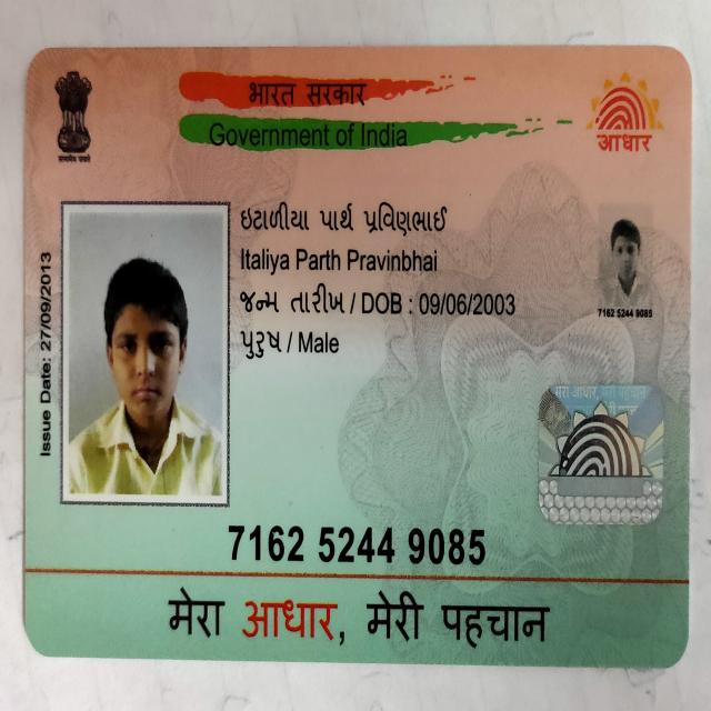 Dataset Image