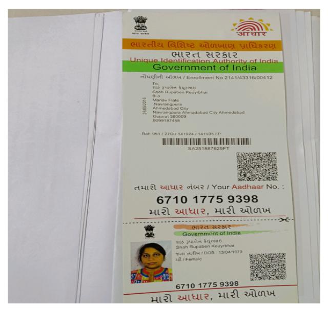 Dataset Image