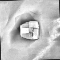 Dataset Image