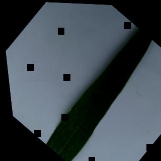 Dataset Image