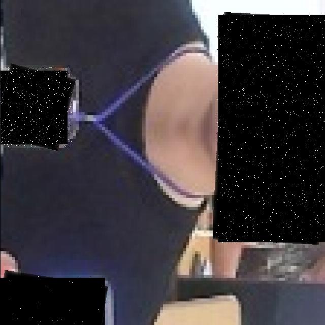 Dataset Image