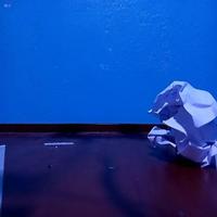 Dataset Image