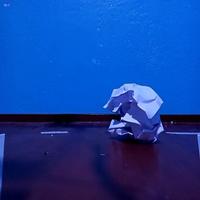 Dataset Image